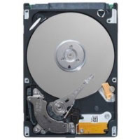 Seagate Momentus 5400.6 250GB SATA (ST9250315AS)